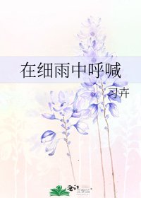《在细雨中呼喊》