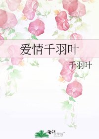 《爱情千羽叶》