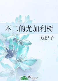 不二的尤加利树