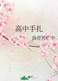 《高中手扎》