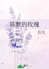 《陈默的玫瑰》