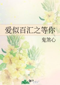 《爱似百汇之等你》