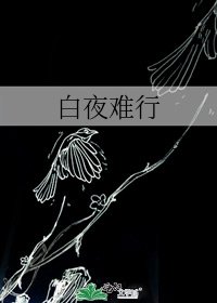 《白夜难行》
