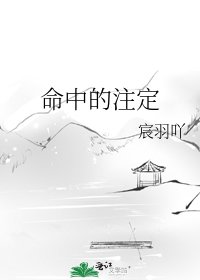 《命中的注定》