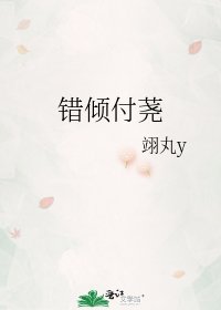 《错倾付荛》