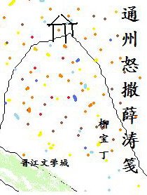 《通州怒撒薛涛笺》