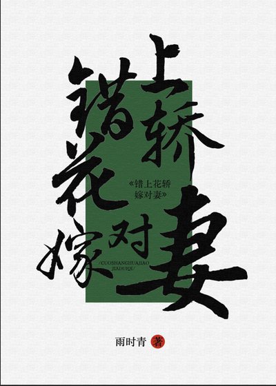 《错上花轿嫁对妻(女尊)》