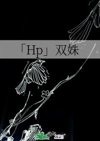 《「Hp」双姝》