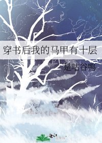《穿书后我的马甲有十层》