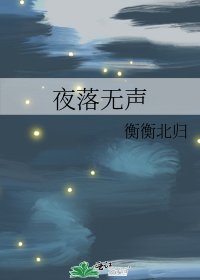 《夜落无声》