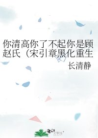 《你清高你了不起你是顾赵氏(宋引章黑化重生文)》