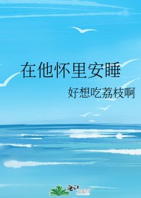 《在他怀里安睡》