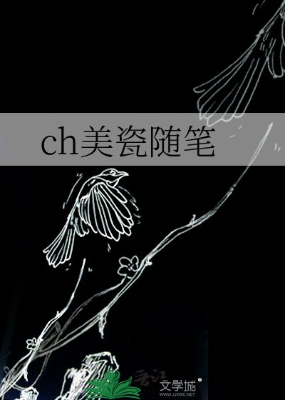 《ch美瓷随笔》