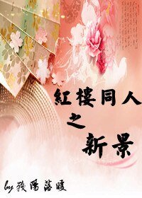 《红楼同人之新景》